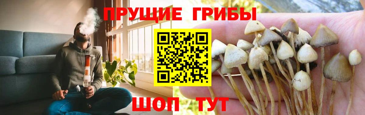 Междуреченск  Галлюциногенные грибы Magic Shrooms  Галлюциногенные грибы MAGIC MUSHROOMS  Вход с VPN 