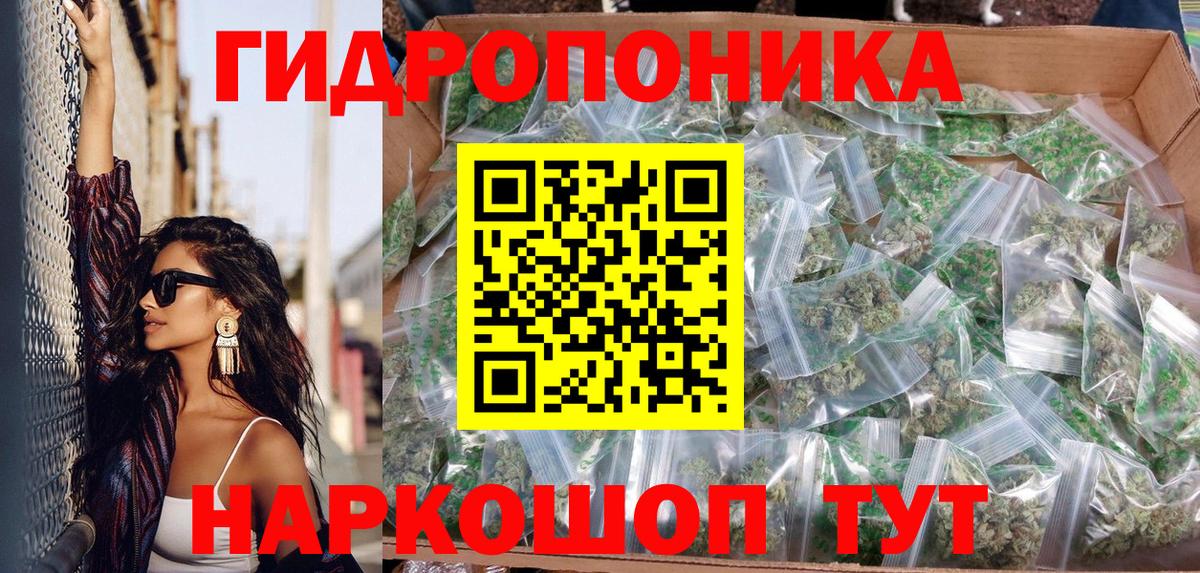 Бошки Шишки SATIVA & INDICA  Канабис гибрид  Междуреченск  Конопля план  Вход с VPN 